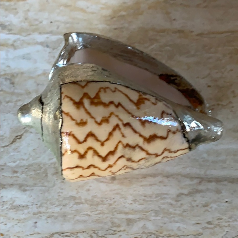 Silver deco shells